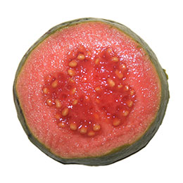 Strawberry Guava